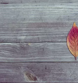 Pohištvo mizarstva Trampuž