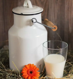 Mlecni produkti iz kravjega mleka pomurje