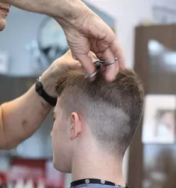 Mosko strizenje kranj in okolica