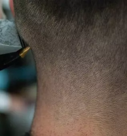 Mosko strizenje kranj in okolica