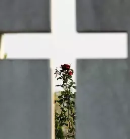 Nagrobni spomeniki Krško