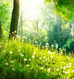 Najem apartmaja grosuplje