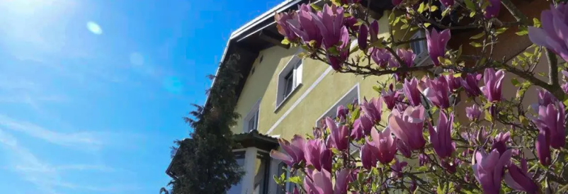 Ugoden najem apartmaja Novo mesto