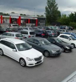 Najem kombijev in avtov savinjska