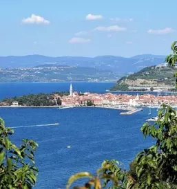 Najem sobe v centru izole