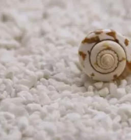 Najem solne sobe na gorenjskem