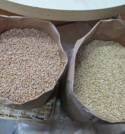 Nakupovanje s svojo embalazo ljubljana