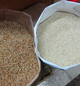 Nakupovanje s svojo embalazo ljubljana