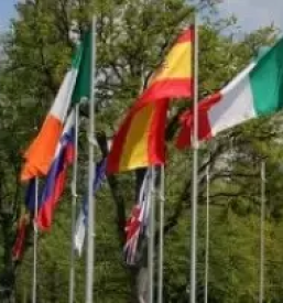 Namizne zastavice v sloveniji