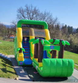 Igrala Celje, Savinjska