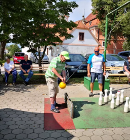 Nastanitev starejsih savinjska