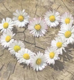 Neplodnost maribor pomoc