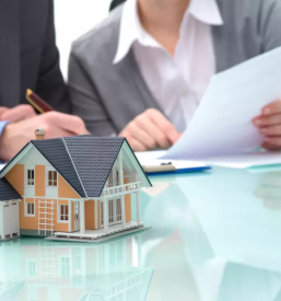 Kakovostne nepremičnine Primorska