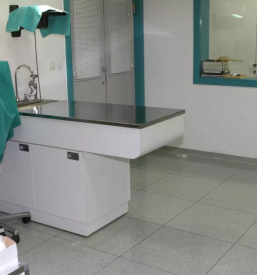 Nevrologija in nevrokirurgija ortopedija pri mackah in psih slovenija