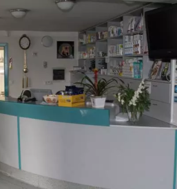 nevrokirurgija ortopedija pri mačkah in psih slovenija