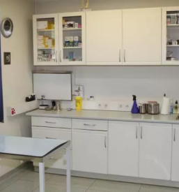 Nevrologija in nevrokirurgija ortopedija pri mačkah in psih 