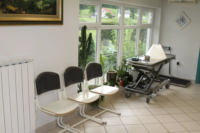 Nudimo zdravljenje in obravnave s področja nevrologije, nevrokirurgije in ortopedije pri mačkah in psih v Sloveniji