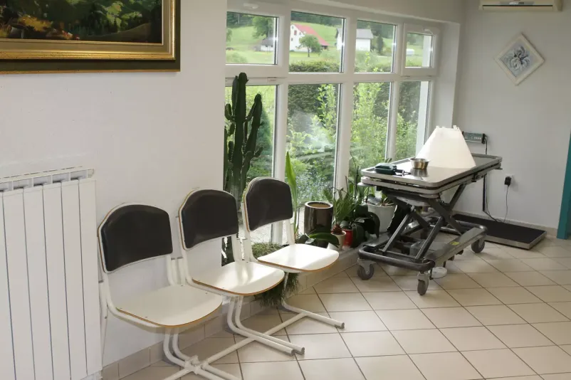 Nudimo zdravljenje in obravnave s področja nevrologije, nevrokirurgije in ortopedije pri mačkah in psih v Sloveniji