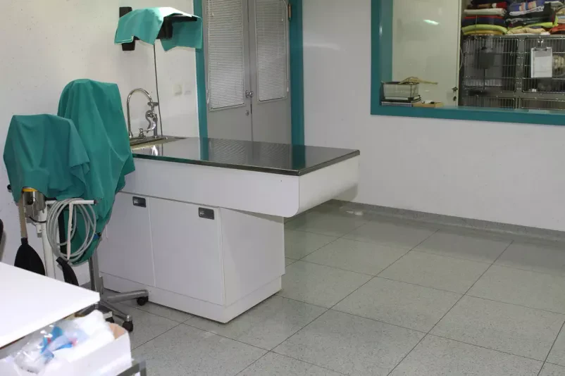 Izvajamo nevrologijo in ortopedijo za pse in mačke v Sloveniji