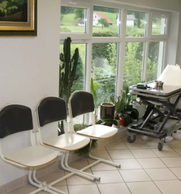 Nevrologija pri psih in mačkah 