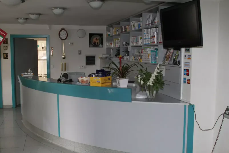 Nevrologija pri psih in mačkah Slovenija