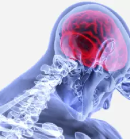 Nevroloska ambulanta celje okolica savinjska