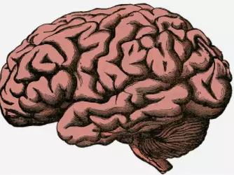 Nevrološka ambulanta Celje okolica, Savinjska