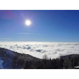 Jurij Berčon - sobodajalec