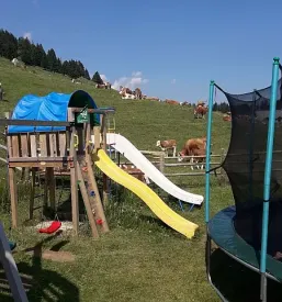 Nocitve v apartmajih in sobah krvavec