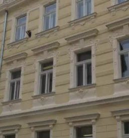 Obnova stavb pod varstvom Slovenija