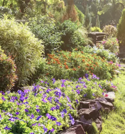 Obrezovanje drevja ljubljana