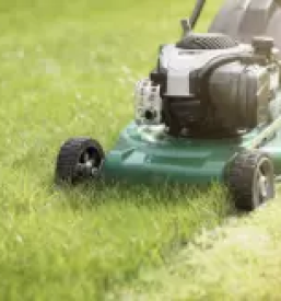 Obrezovanje drevja ljubljana