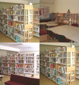 Obsolske dejavnosti cirkovce