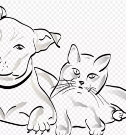 Obvezna cepljenja živali Vipava, Slovenija