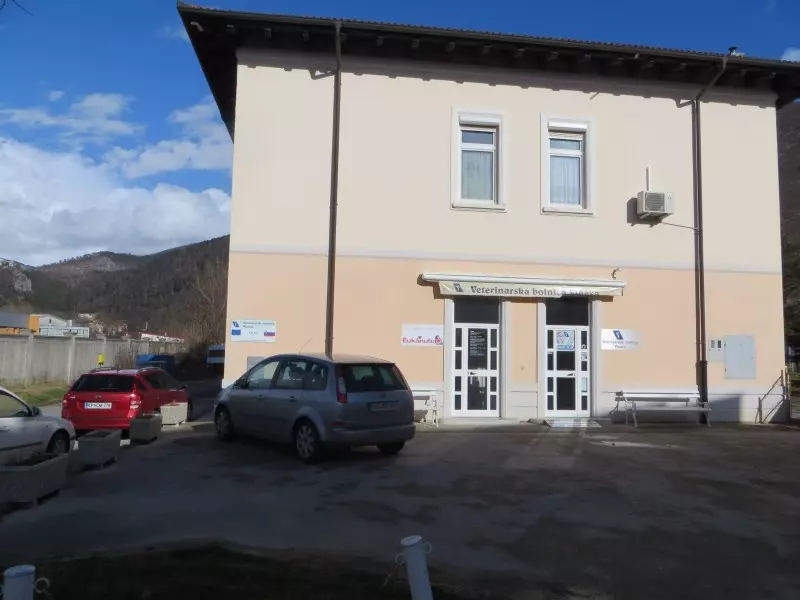 Izvajamo redna obvezna cepljenja živali v Vipavi