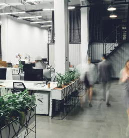 Oddajanje nepremicnin za poslovno dejavnost bela krajina