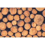 POLJANŠEK FRANCI S.P. - HRAST