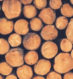 Odkup in prodaja lesa gorenjska