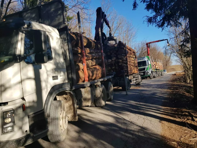 Odkup in prodaja lesa Osrednja Slovenija