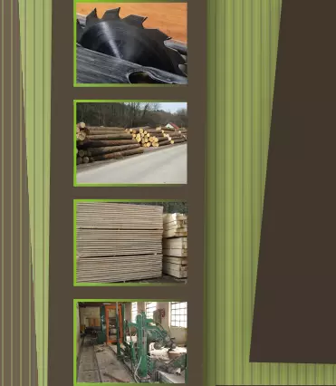 Odkup in prodaja lesa Podravska