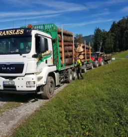 Odkup lesa dolenjska