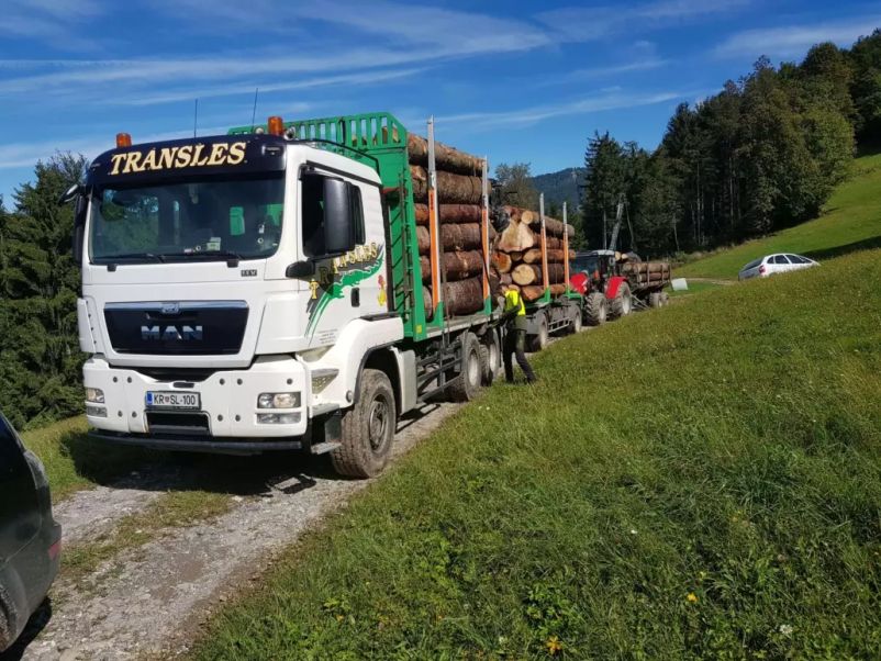 Odkup in prodaja lesa Dolenjska, Osrednja Slovenija