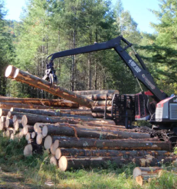 Odkup lesa posavje