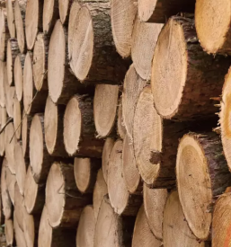 Odvoz lesa iz gozda stajerska