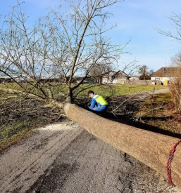 Odvoz lesa iz gozda stajerska