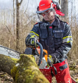 Odvoz lesa iz gozda stajerska