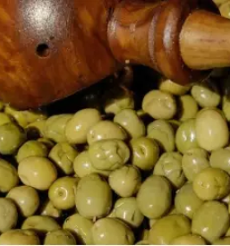 Olivno olje Primorska