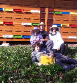 Online prodaja naravne kreme proti gubam slovenija