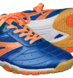 Proizvodnja opreme za namizni tenis Slovenija