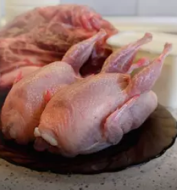 Oprema za predelavo mesa slovenija